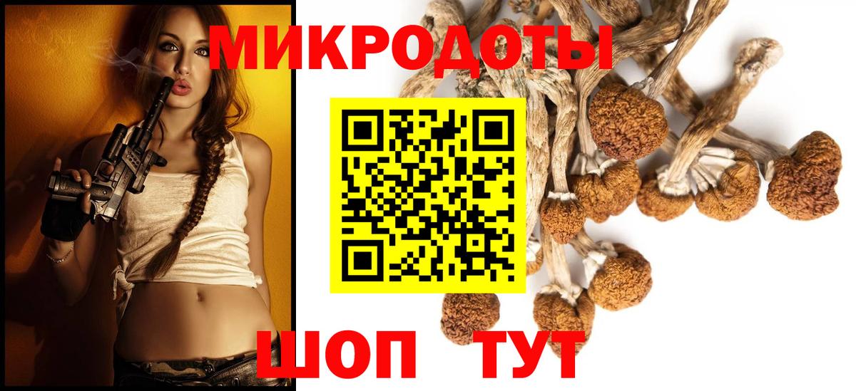 Шуя  Галлюциногенные грибы Psilocybine cubensis  Вход с VPN 